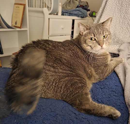 Photo of Moe