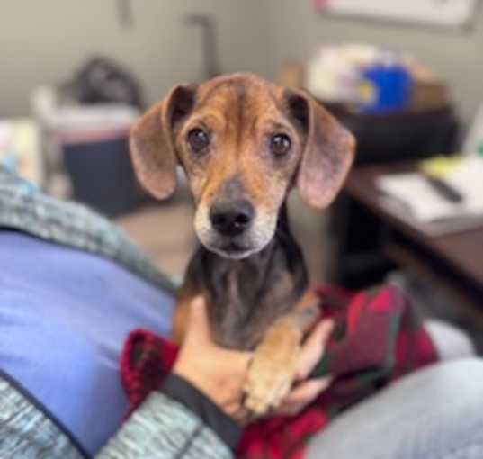 Photo of tank