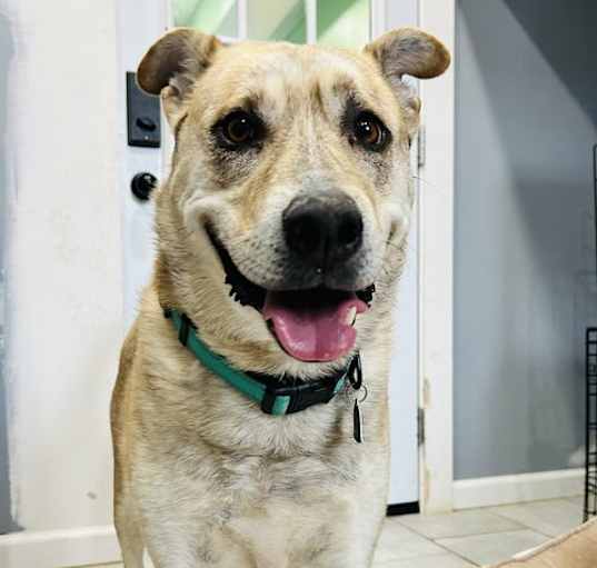 Photo of Kenai