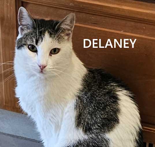 Photo of Delaney