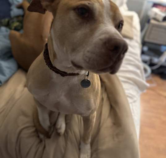 Photo of Grimm