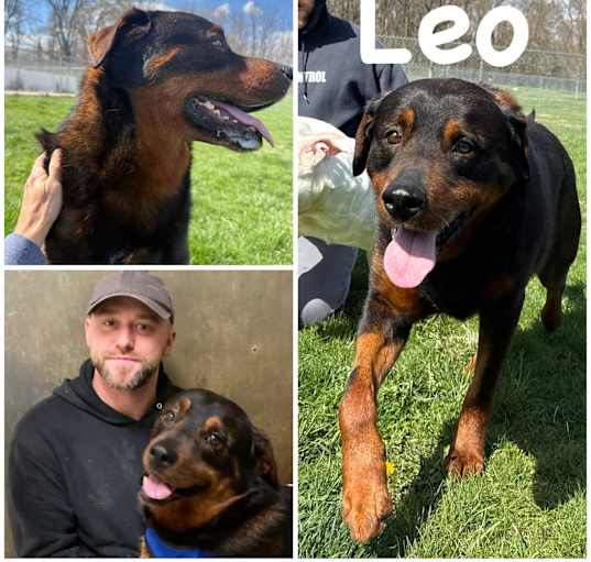 Photo of Leo
