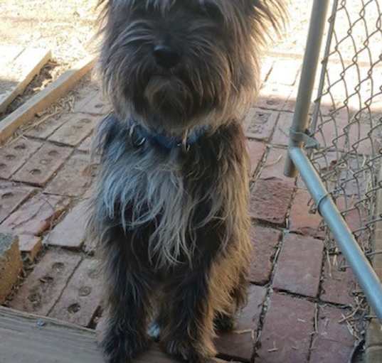 Photo of Harley