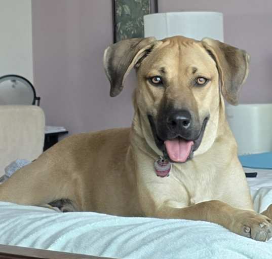 Photo of Sheriff