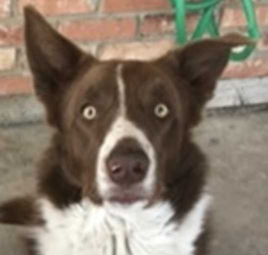 Photo of Jay
