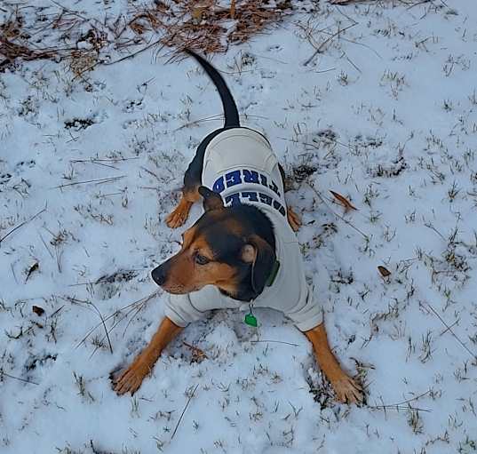 Photo of Rocky