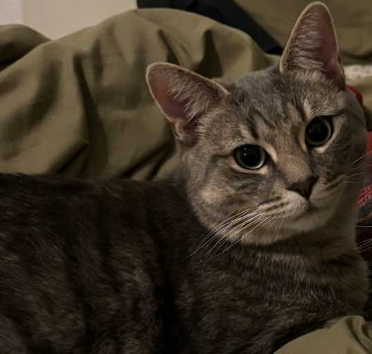 Photo of Blizzy