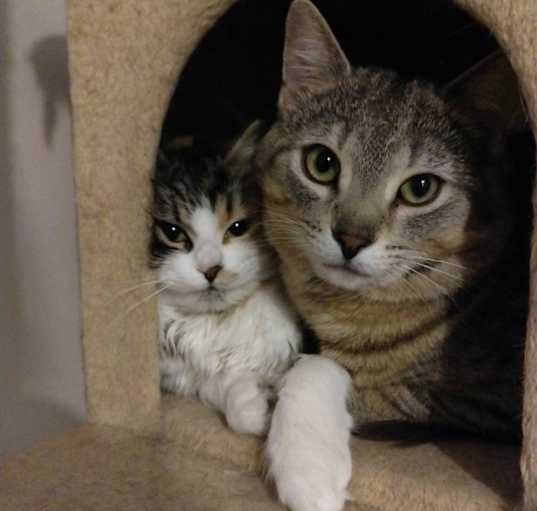 Photo of Bunny & Murphy