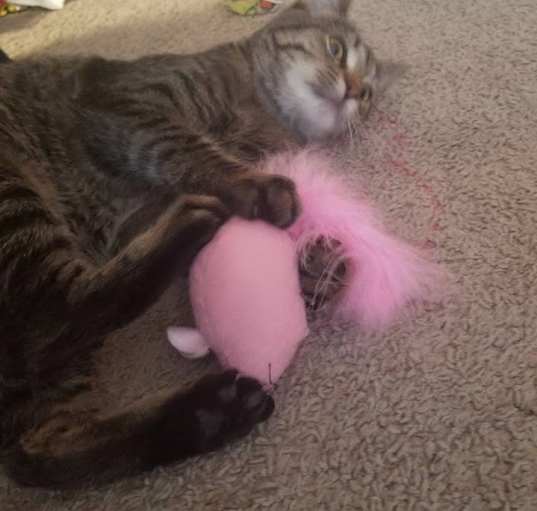 Photo of Momma