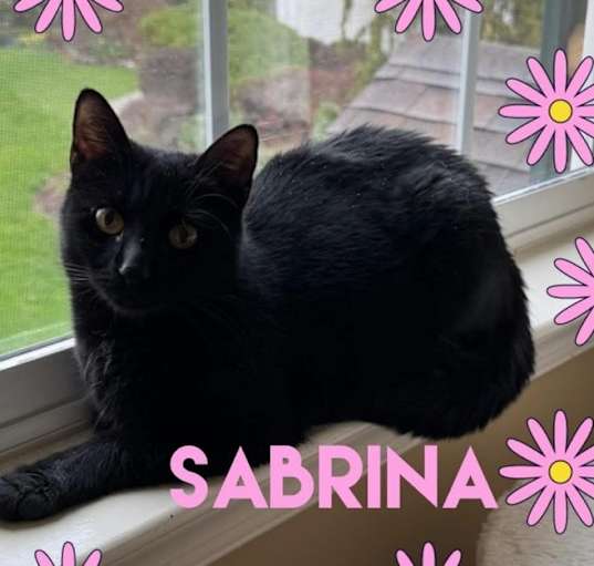 Photo of Sabrina