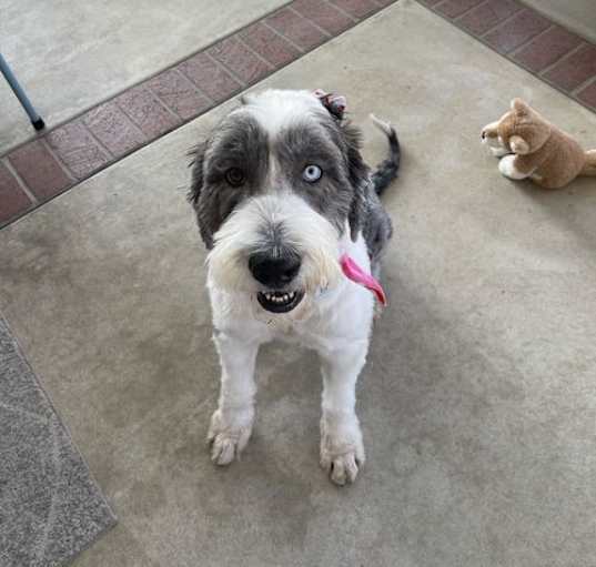 Photo of Molly