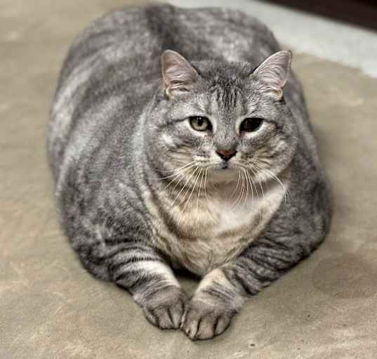 Photo of Cleo