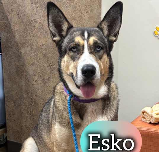 Photo of Esko