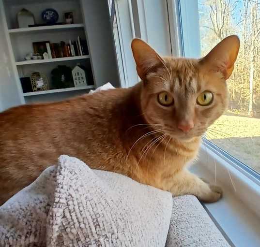 Photo of Rosie