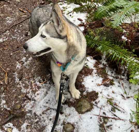 Photo of Freya