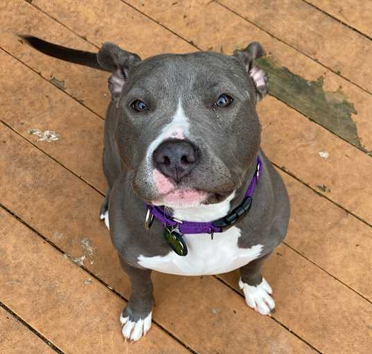 Photo of Kaiya