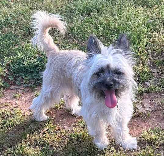 Photo of Daisy