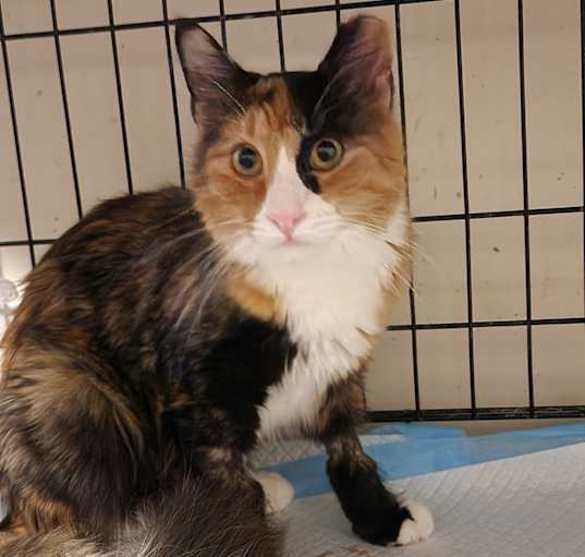 Photo of Kairi