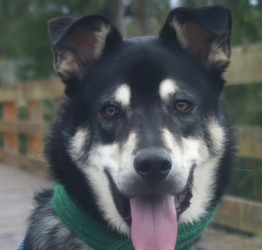 Photo of Bagel