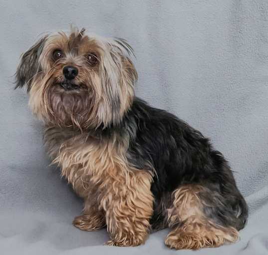 Photo of TRIPPIE