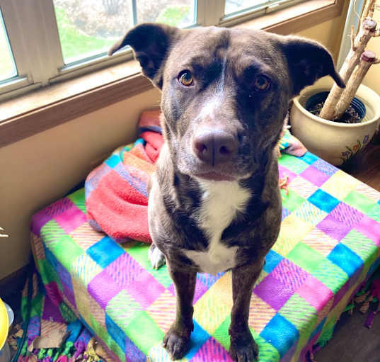 Photo of Lily Pearl