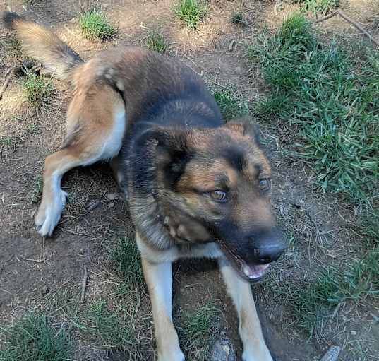 Photo of MAJOR