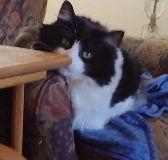 Photo of Maggie