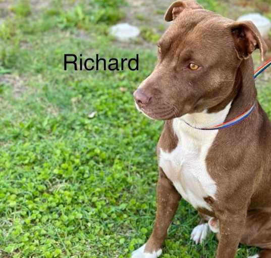Photo of Richard