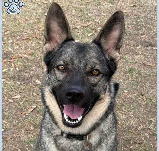 Photo of *FREYA
