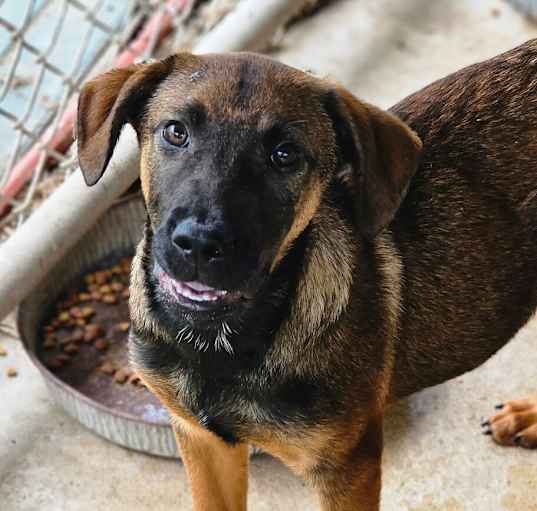 Photo of Tundra