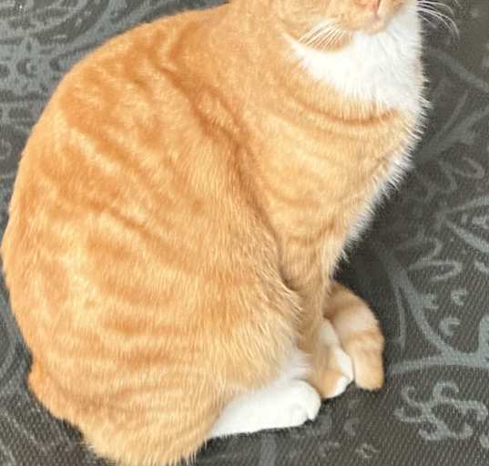 Photo of Bruce