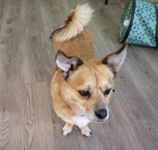 Photo of Kissie