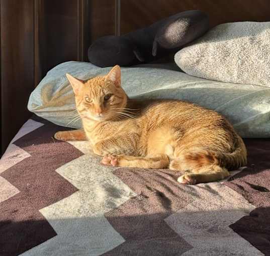 Photo of Melo