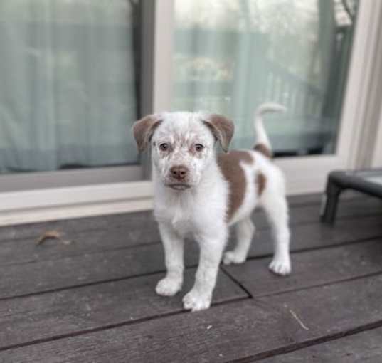 Photo of Tripp