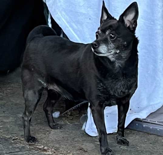 Photo of Nora