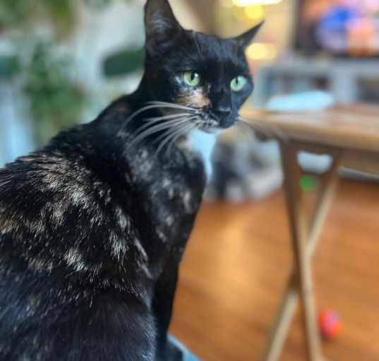 Photo of Margaret (Maggie)