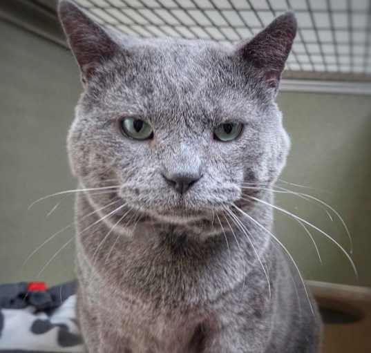 Photo of Nimbus