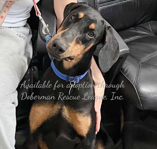 Photo of Darla 3391
