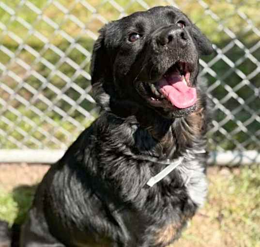 Photo of Remi