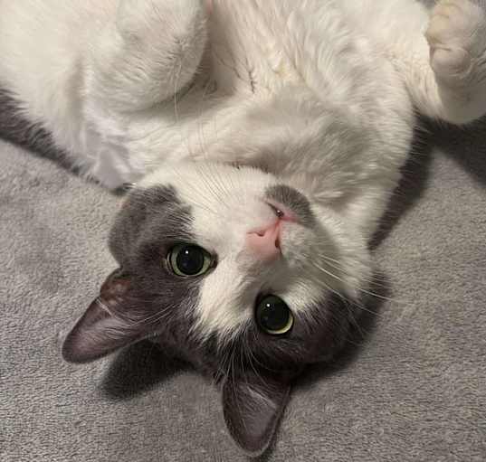 Photo of Kimy - gordita