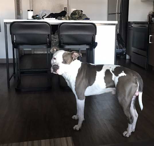 Photo of Zion