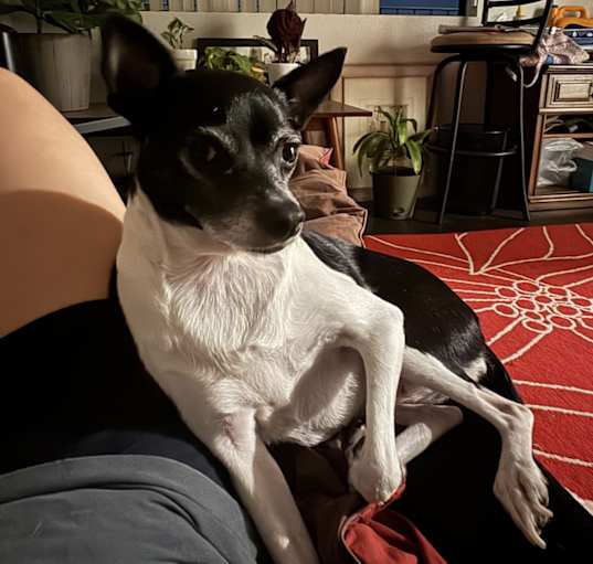 Photo of Noah