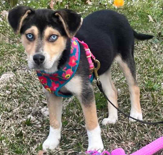 Photo of Darla May