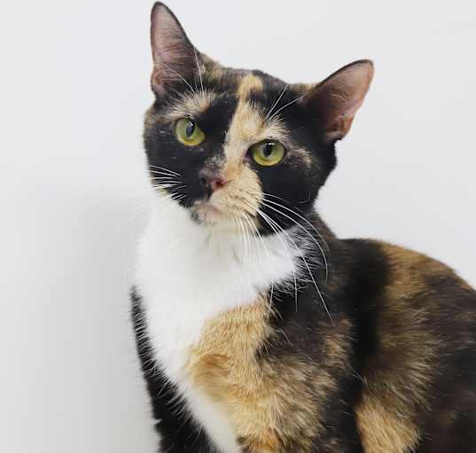 Photo of Clarissa