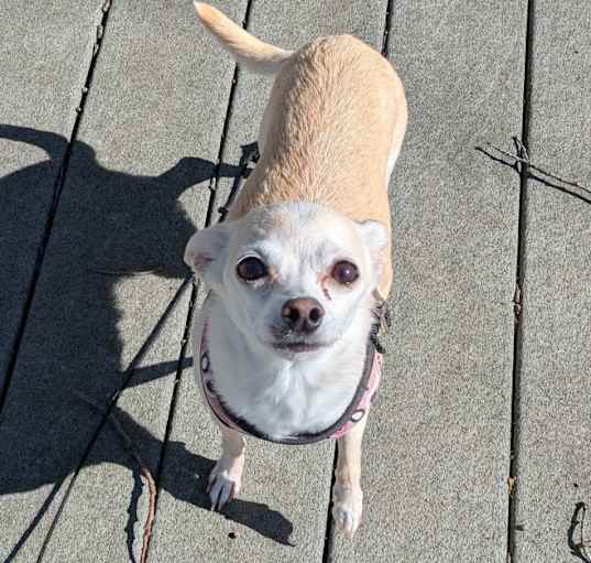 Photo of Nelly