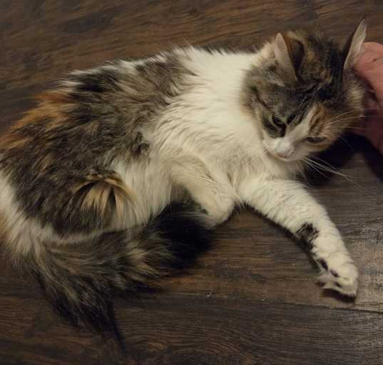 Photo of Gabby