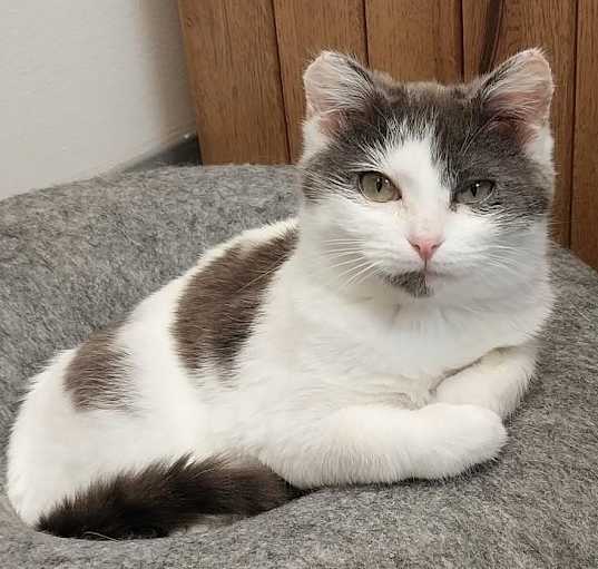 Photo of Eliza