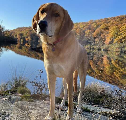 Photo of Maya