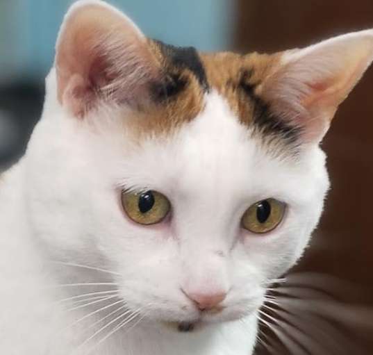 Photo of Bridget