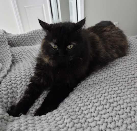 Photo of Chloe